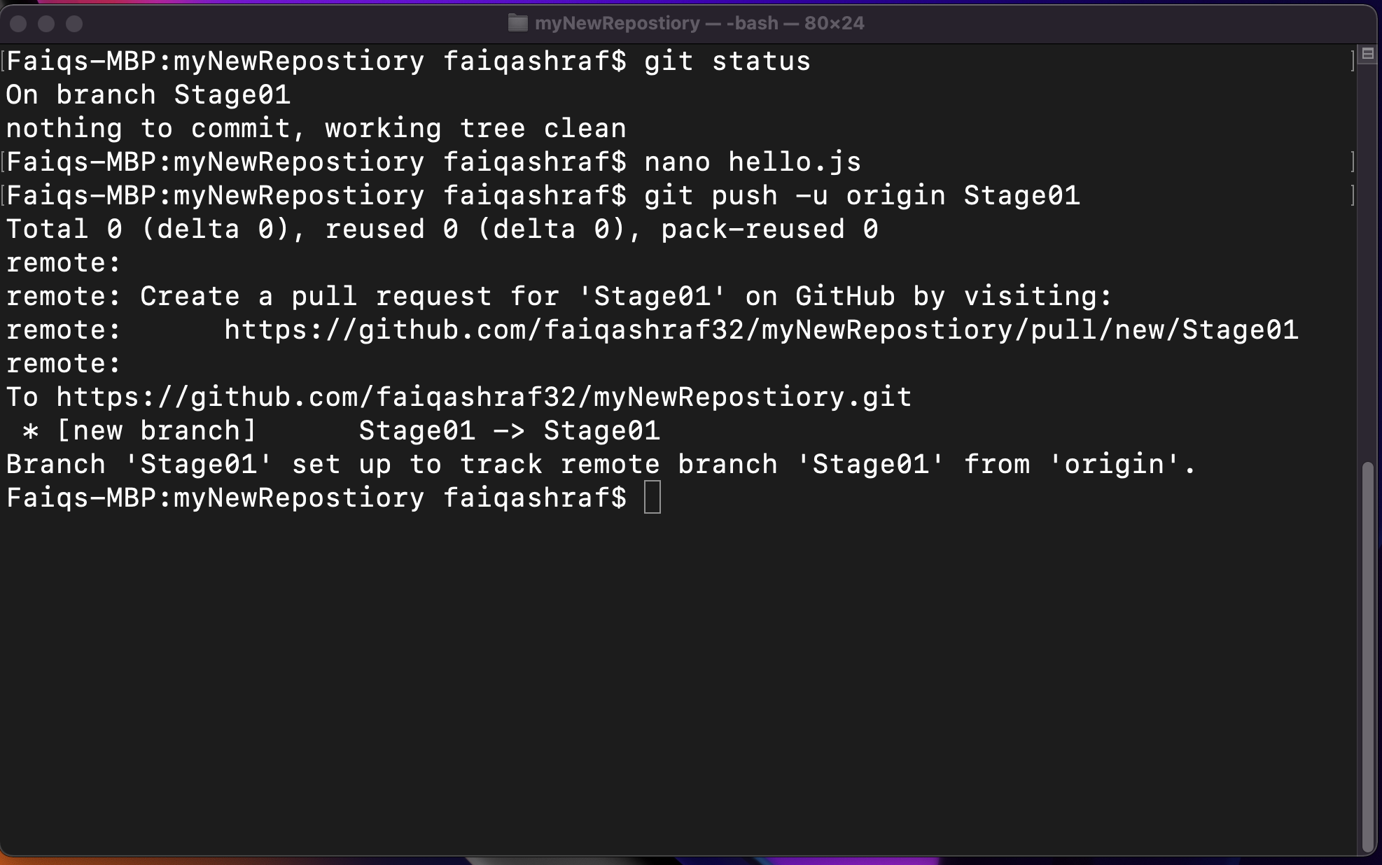 pushing newly created branch in terminal